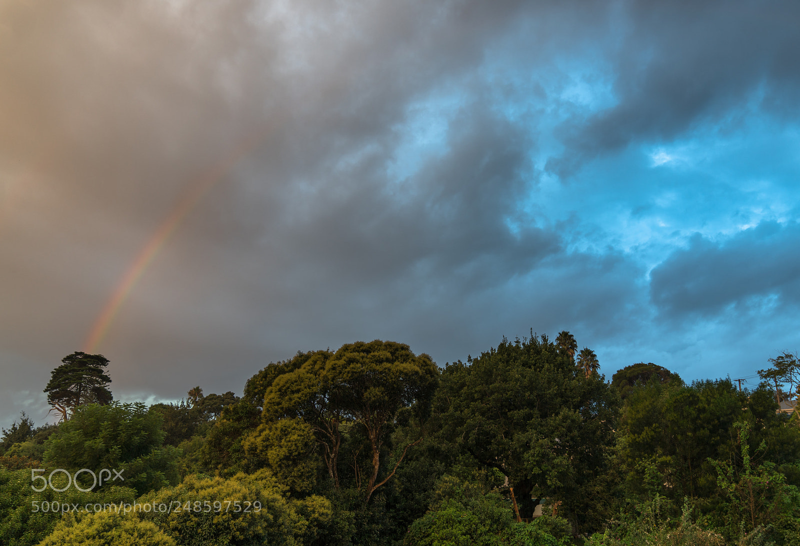 Sony a7R III sample photo. More rain to come photography