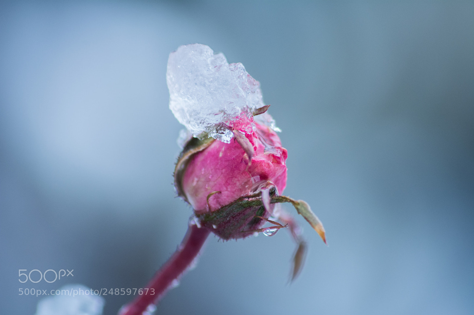 Nikon D5200 sample photo. Neve photography
