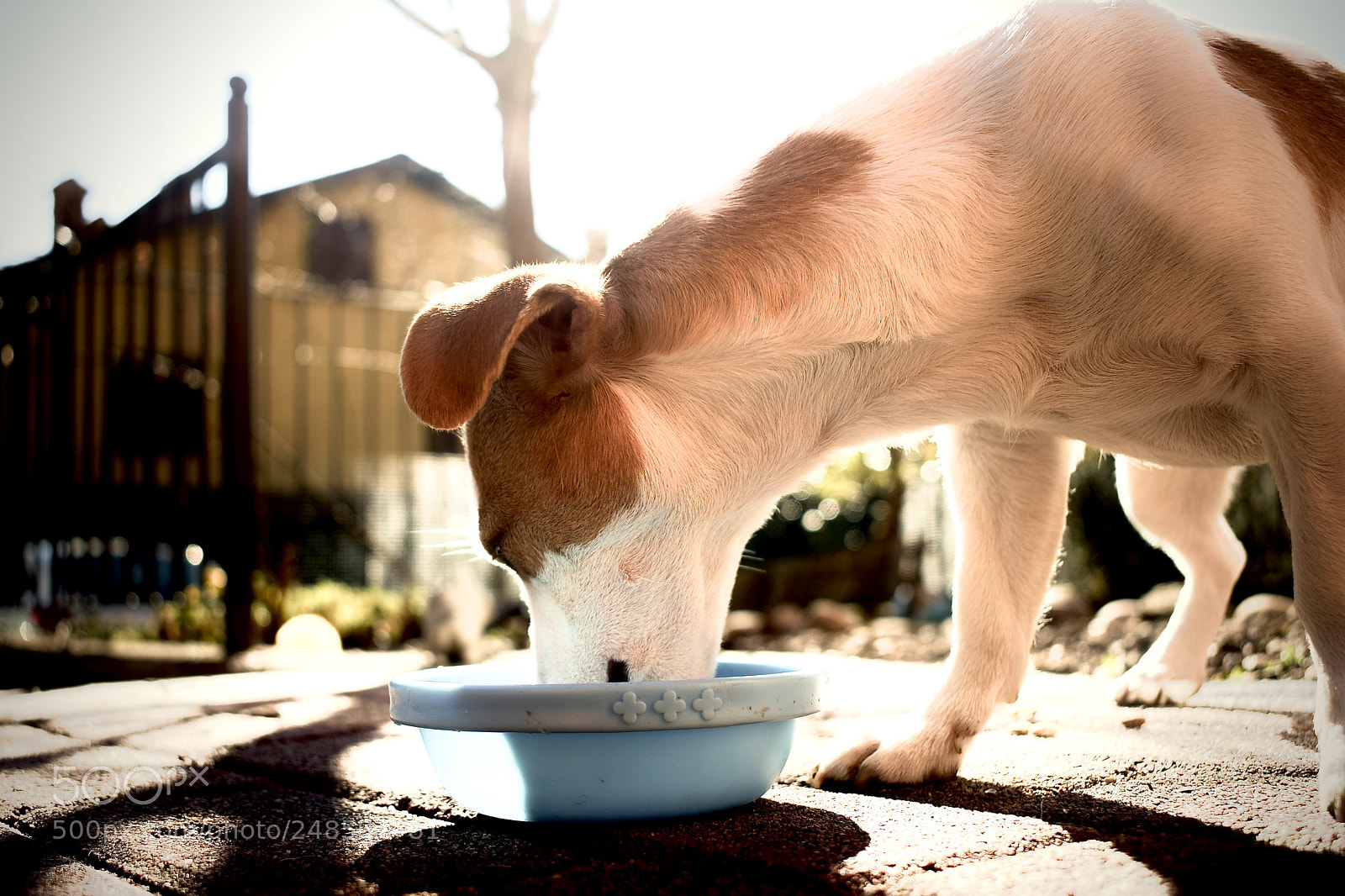 Nikon D5300 sample photo. Untitled photography