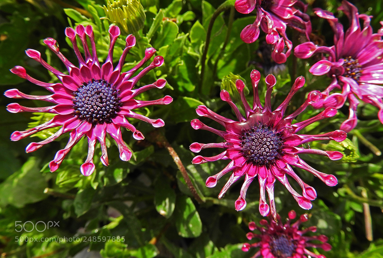 Nikon Coolpix B700 sample photo. ## photography
