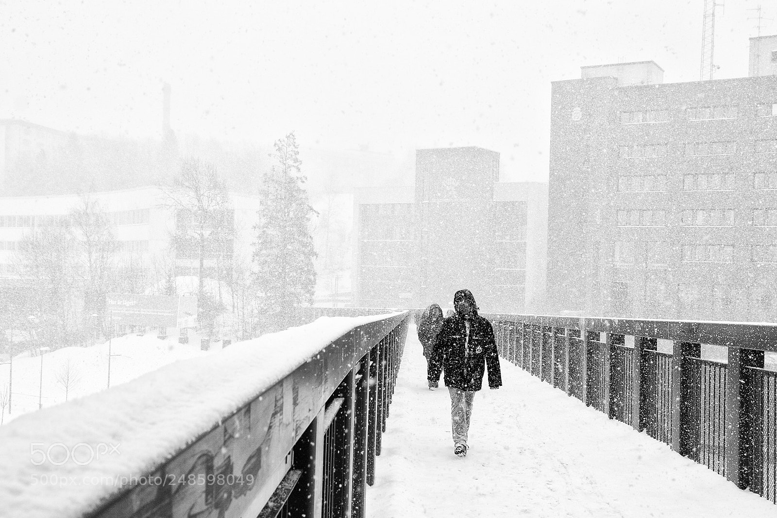 Canon EOS 20D sample photo. Snowstorm photography