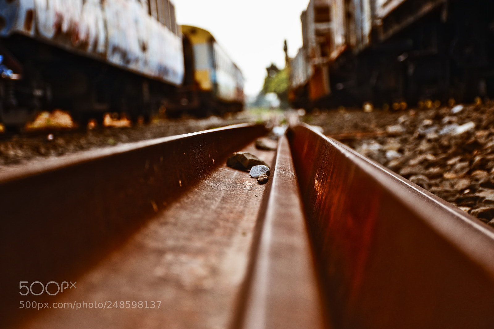 Nikon D5600 sample photo. Line of sight photography