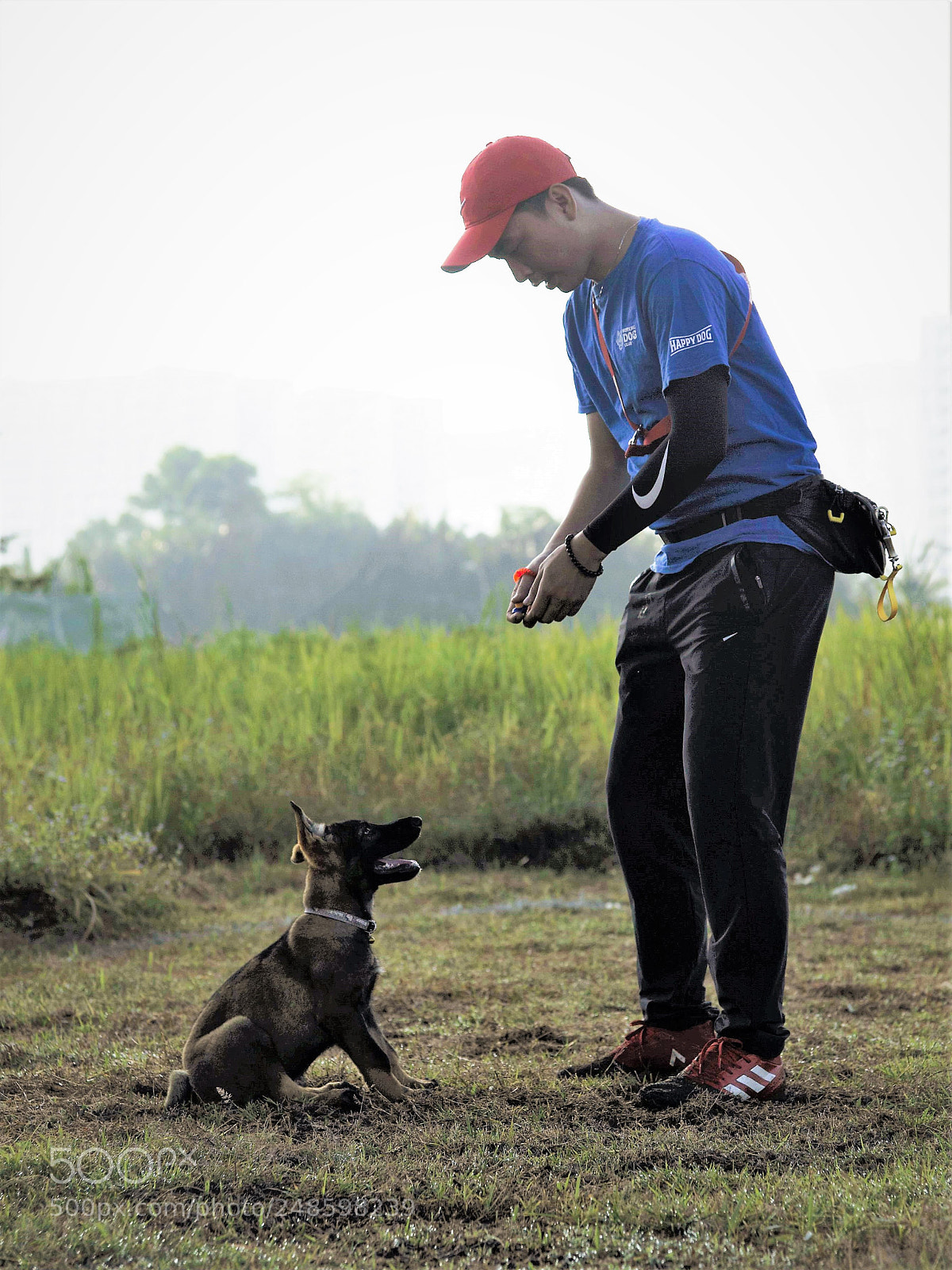 Nikon D700 sample photo. Tiger 2 photography