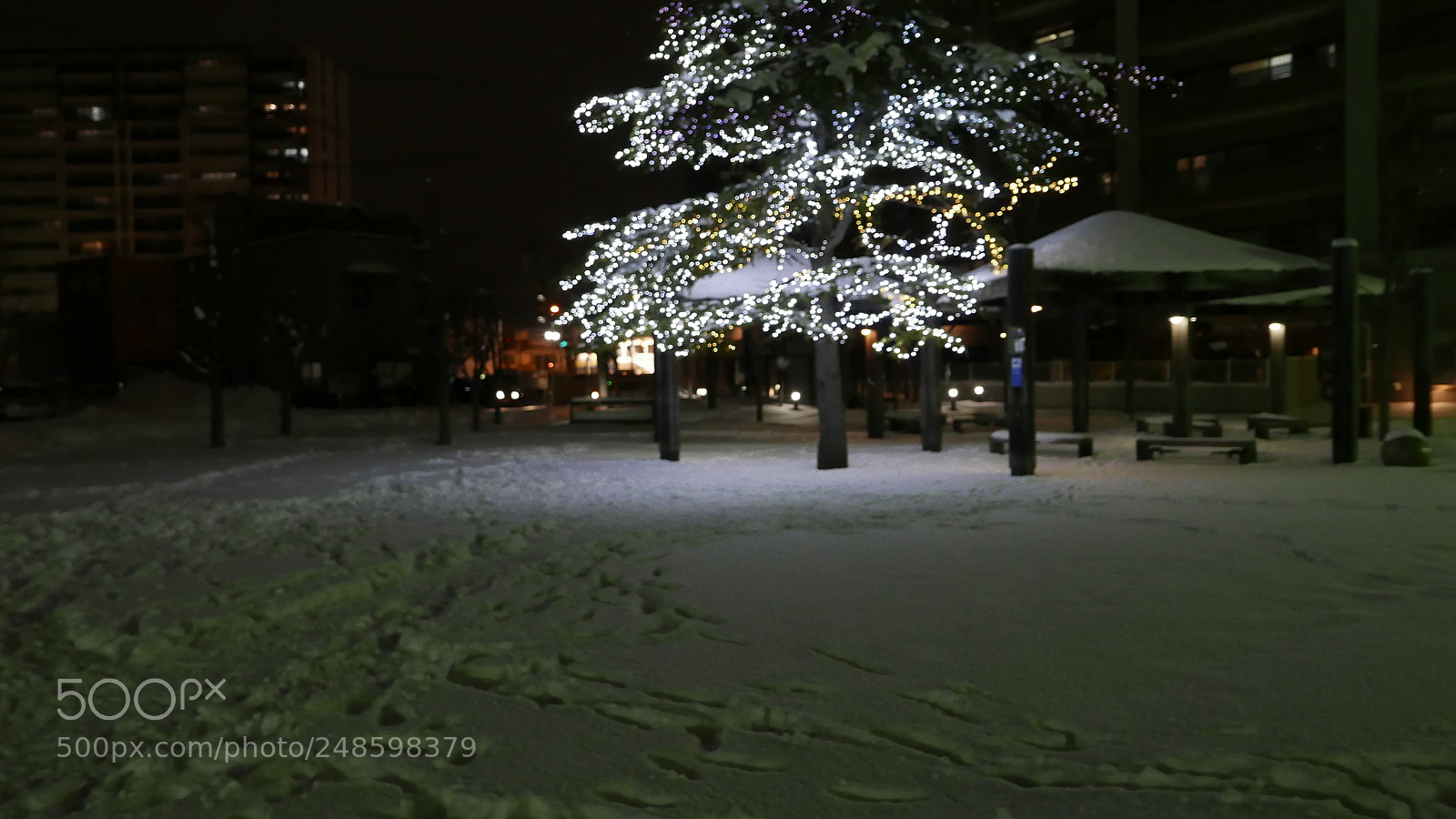 Leica D-Lux (Typ 109) sample photo. 雪夜。。。 photography