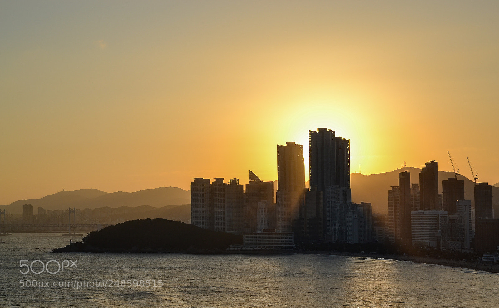 Nikon D3100 sample photo. Golden lights between buildings photography