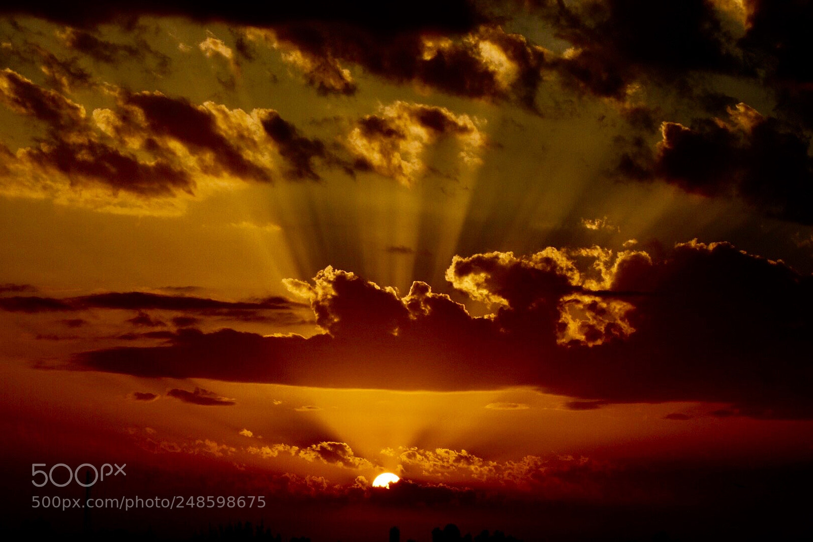 Nikon D7200 sample photo. This morning sunrise photography