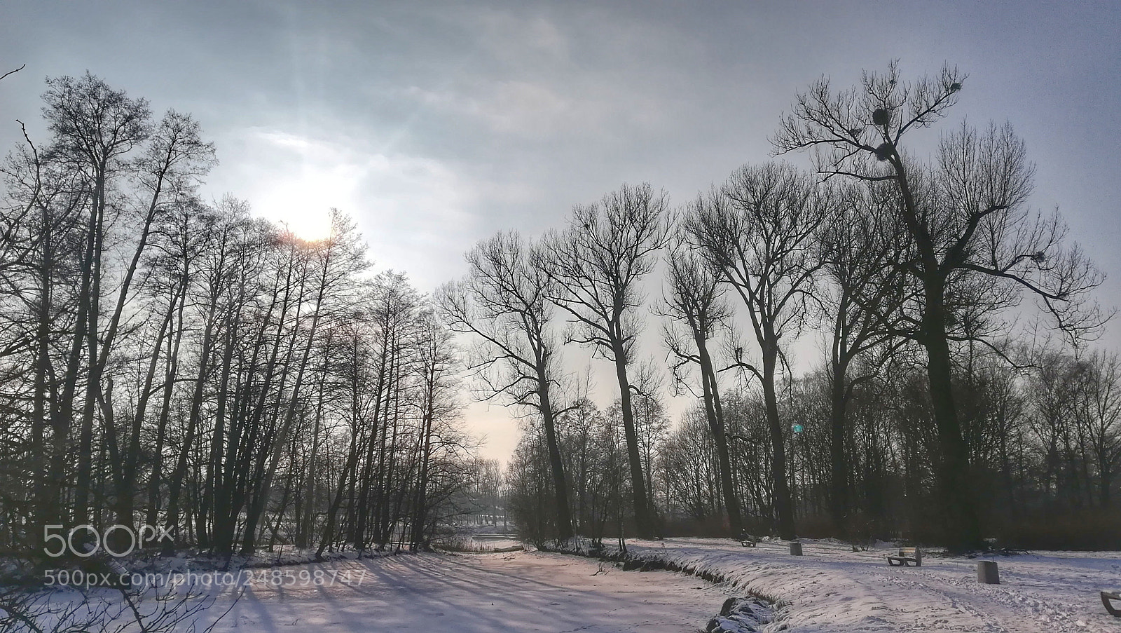 HUAWEI P10 lite sample photo. Unknown face of Łódź photography