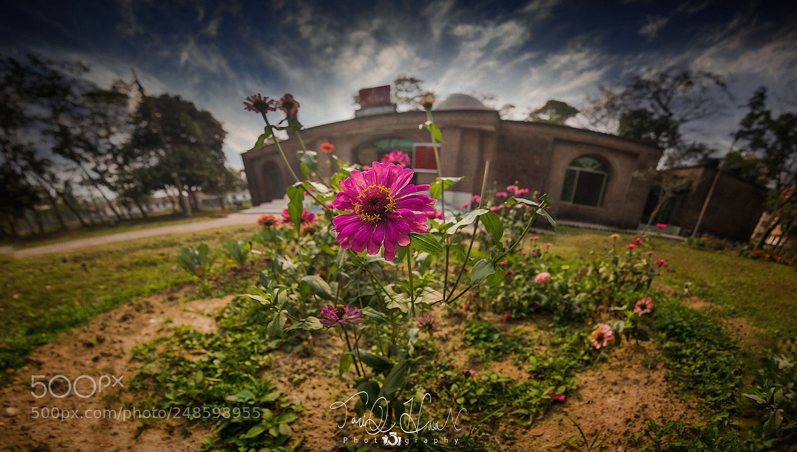 Nikon D7200 sample photo. Center of attention photography