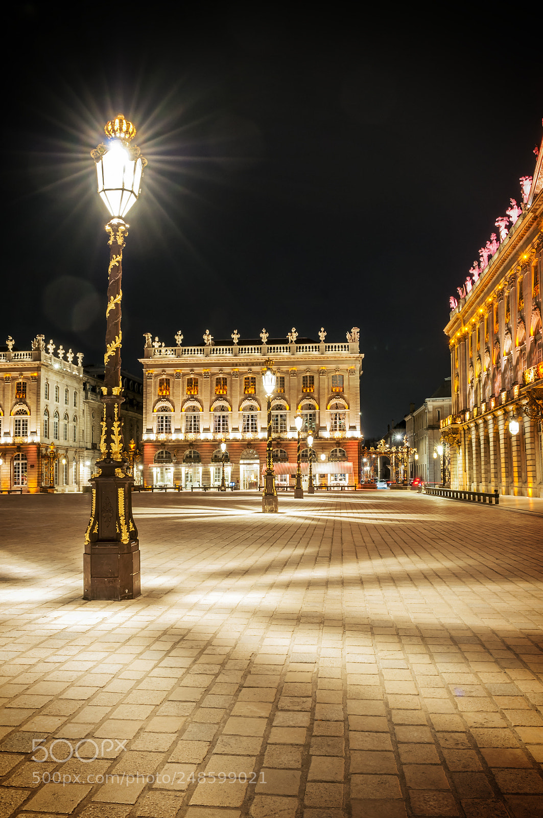 Nikon D300S sample photo. The place stanislas and photography