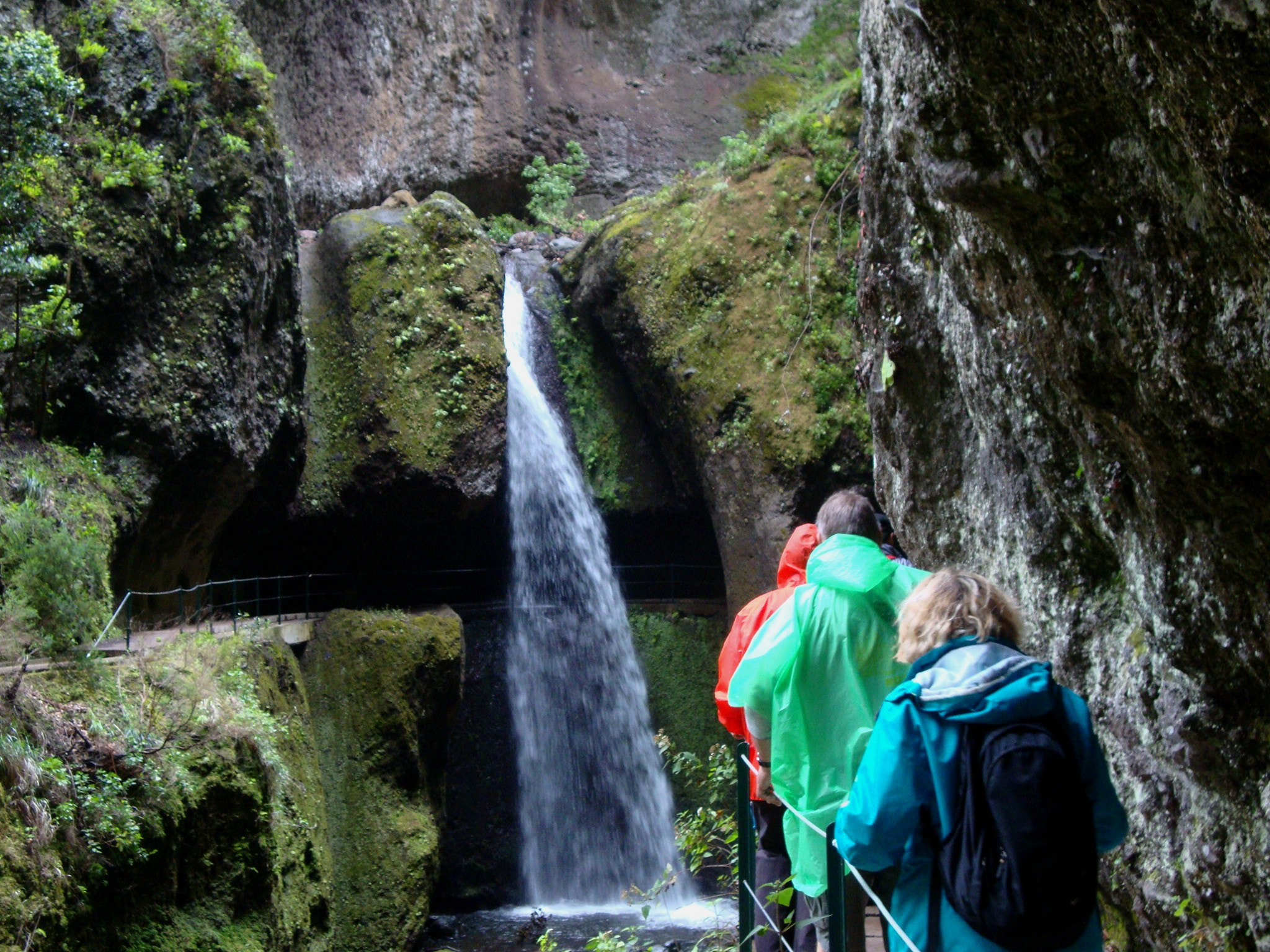 Sony Cyber-shot DSC-W230 sample photo. Along the levadas in madeira photography