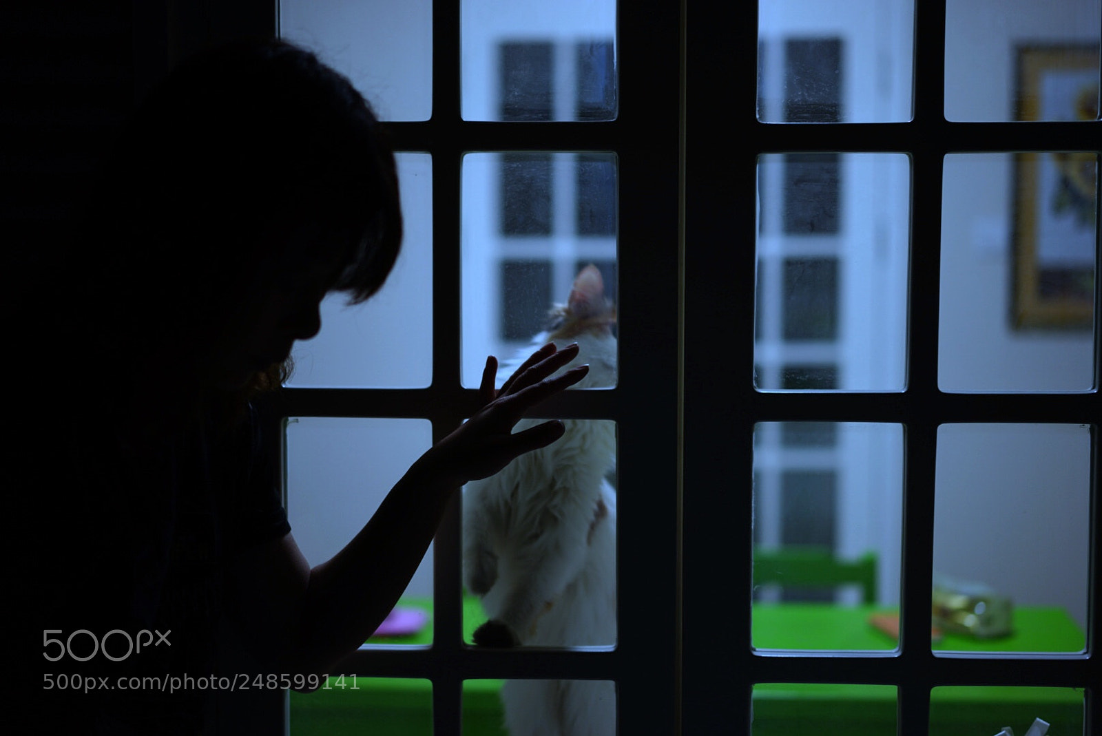 Sony a7 II sample photo. Untitled photography