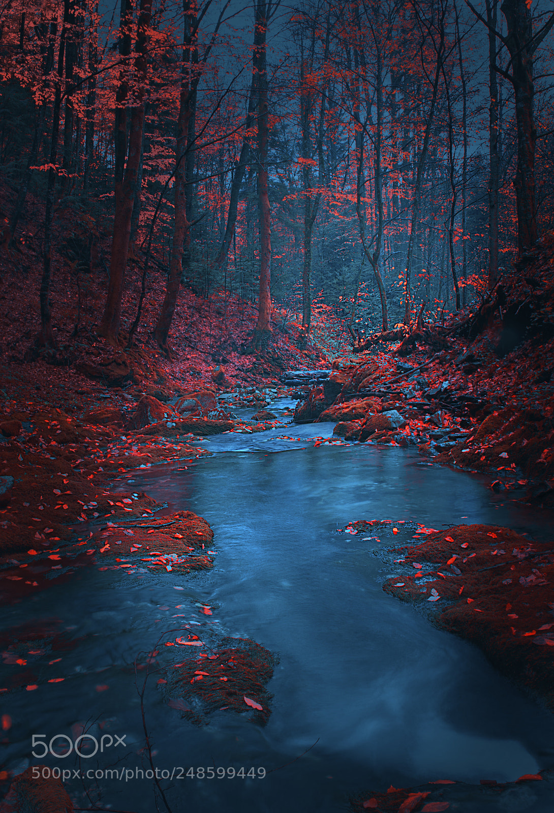 Nikon D610 sample photo. Mountain river photography