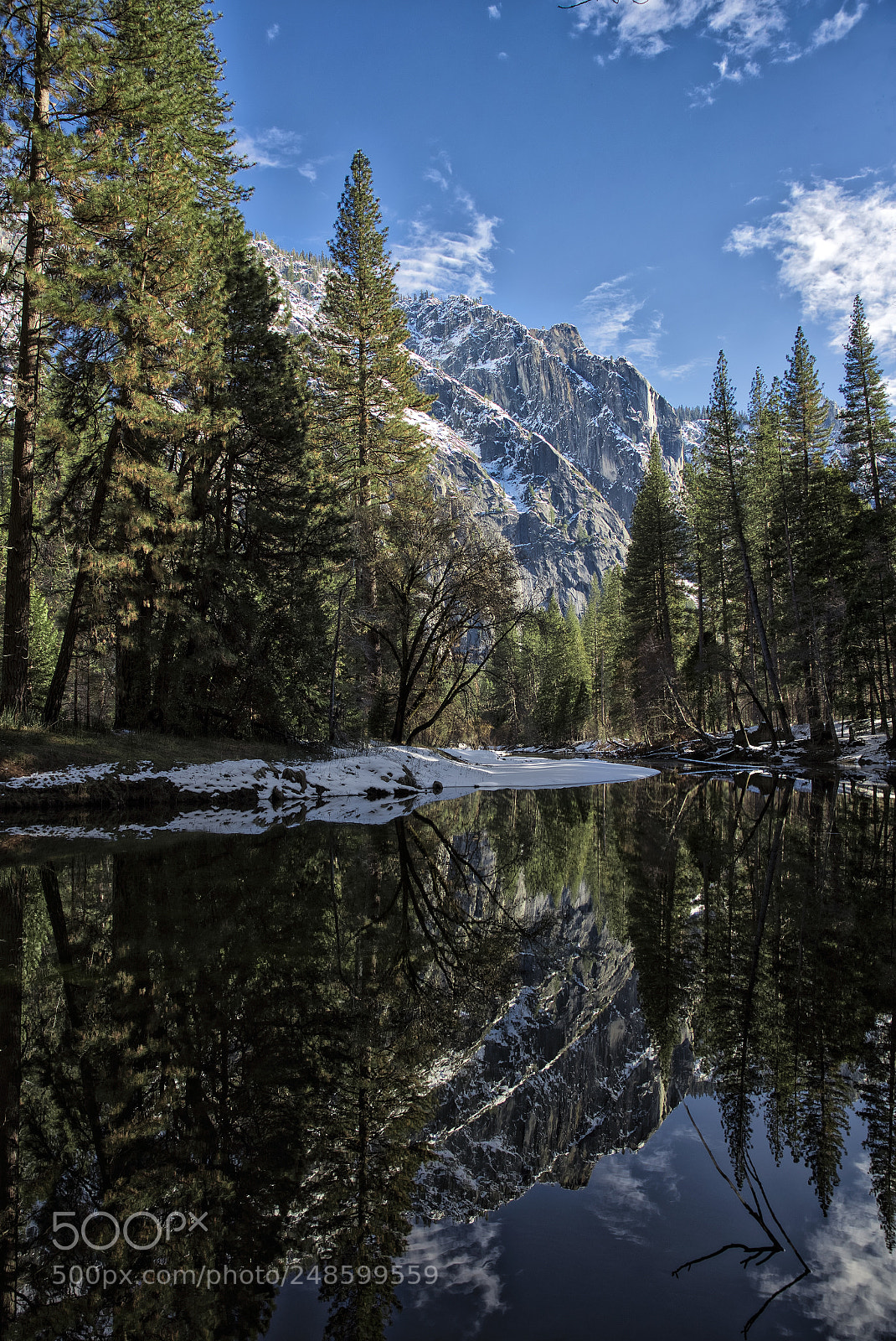 Canon EOS-1D X Mark II sample photo. Perfect reflections photography