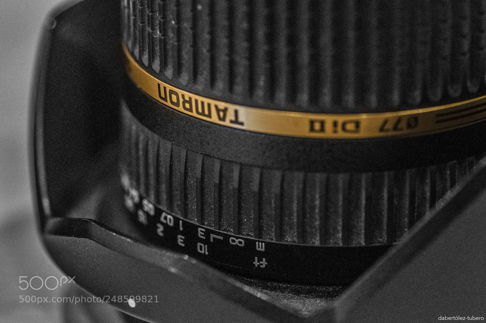 Nikon D90 sample photo. Tamron mm photography