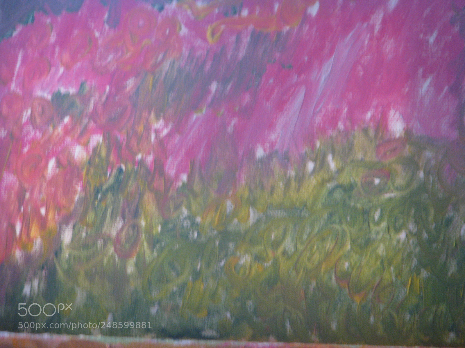 Canon POWERSHOT S5 IS sample photo. Sap green pink photography