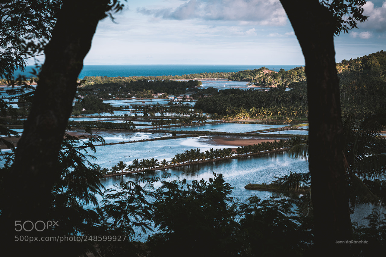Nikon D5200 sample photo. Framed photography