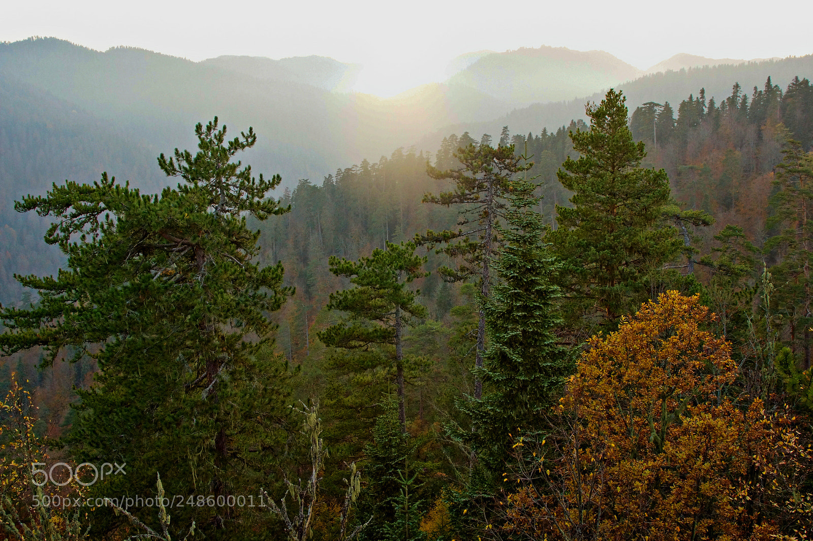 Sony Alpha NEX-7 sample photo. Yedigöller, bolu, turkey photography