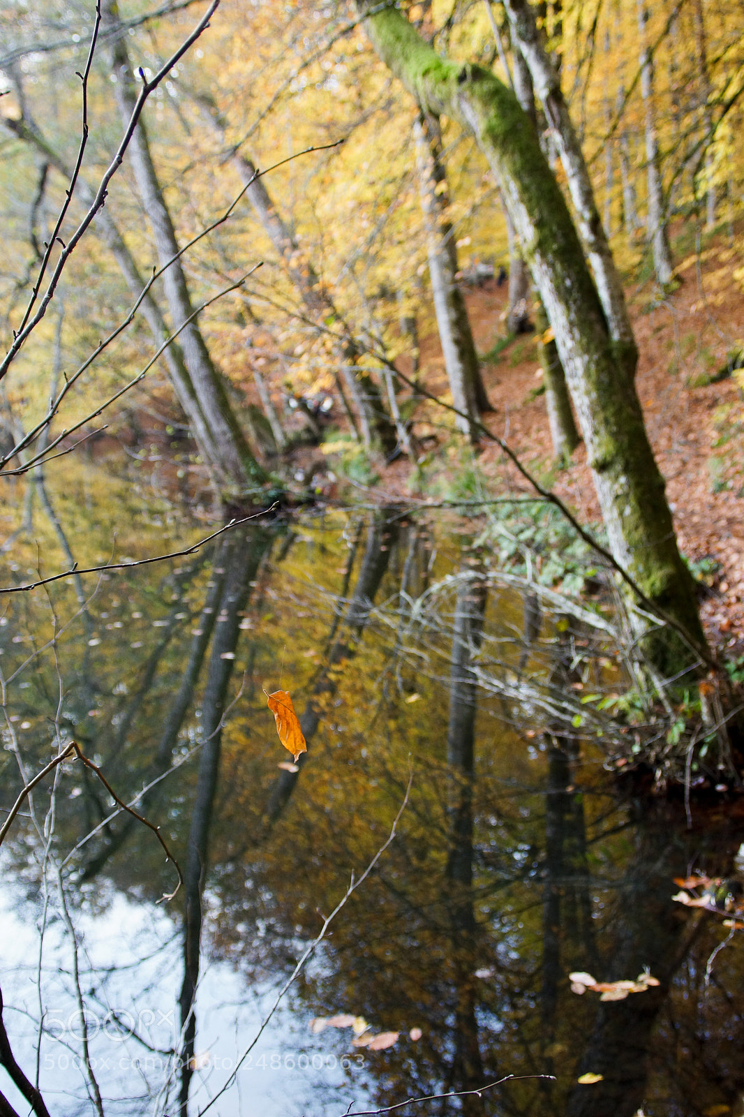 Sony Alpha NEX-7 sample photo. Yedigöller, bolu, turkey photography