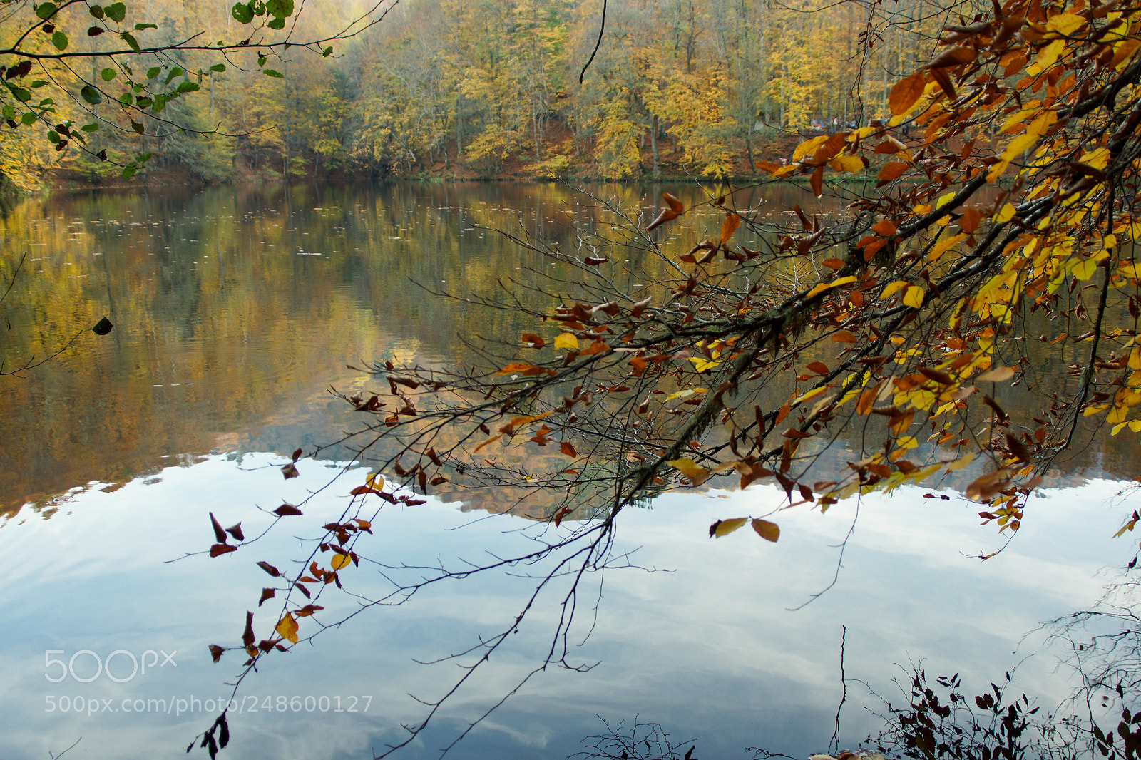 Sony Alpha NEX-7 sample photo. Yedigöller, bolu, turkey photography