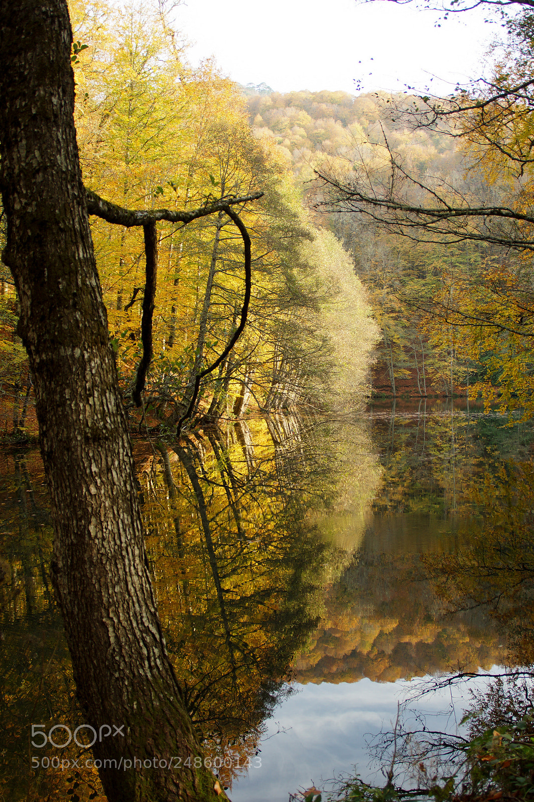 Sony Alpha NEX-7 sample photo. Yedigöller, bolu, turkey photography