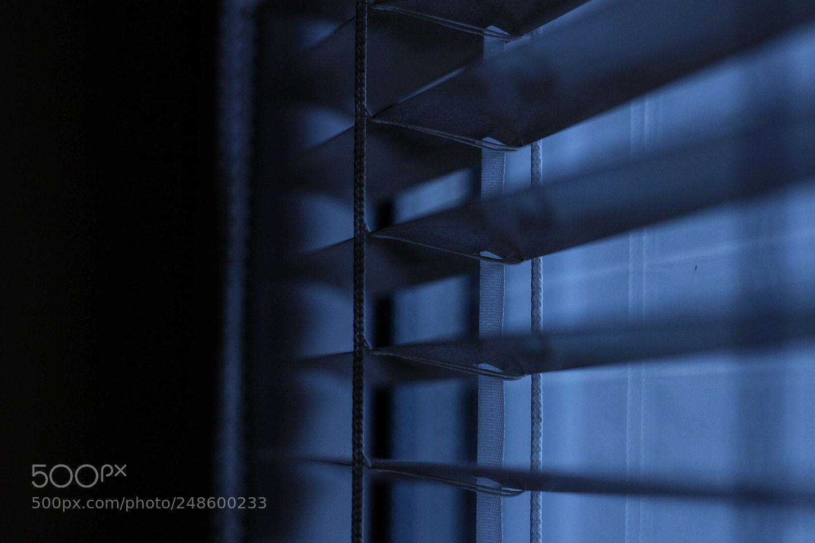 Canon EOS 100D (EOS Rebel SL1 / EOS Kiss X7) sample photo. Hiding in the darkness photography