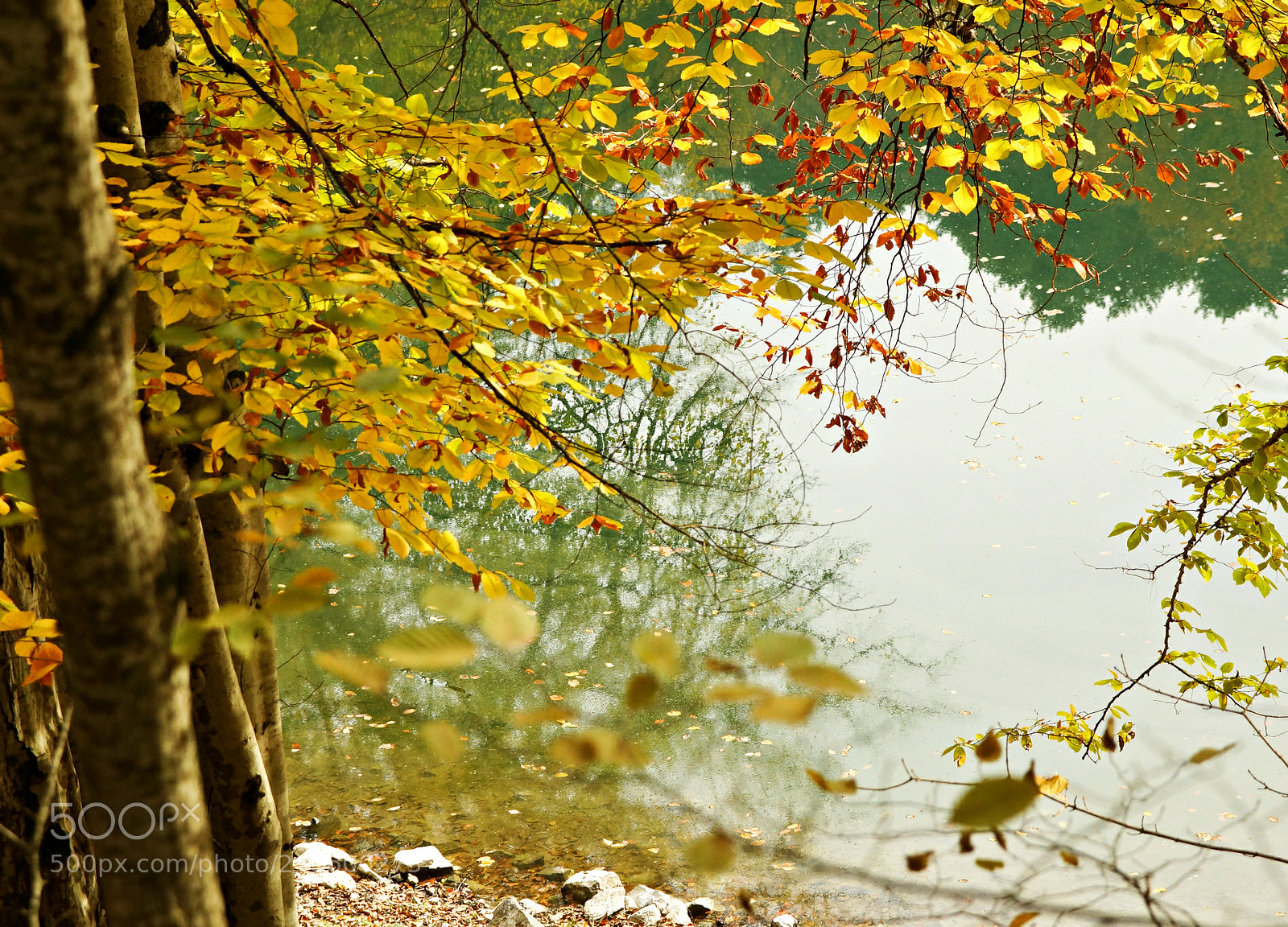 Sony Alpha NEX-7 sample photo. Yedigöller, bolu, turkey photography