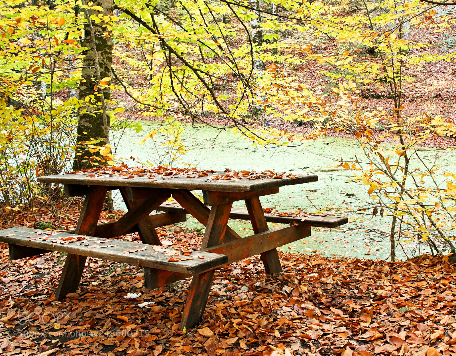 Sony Alpha NEX-7 sample photo. Yedigöller, bolu, turkey photography