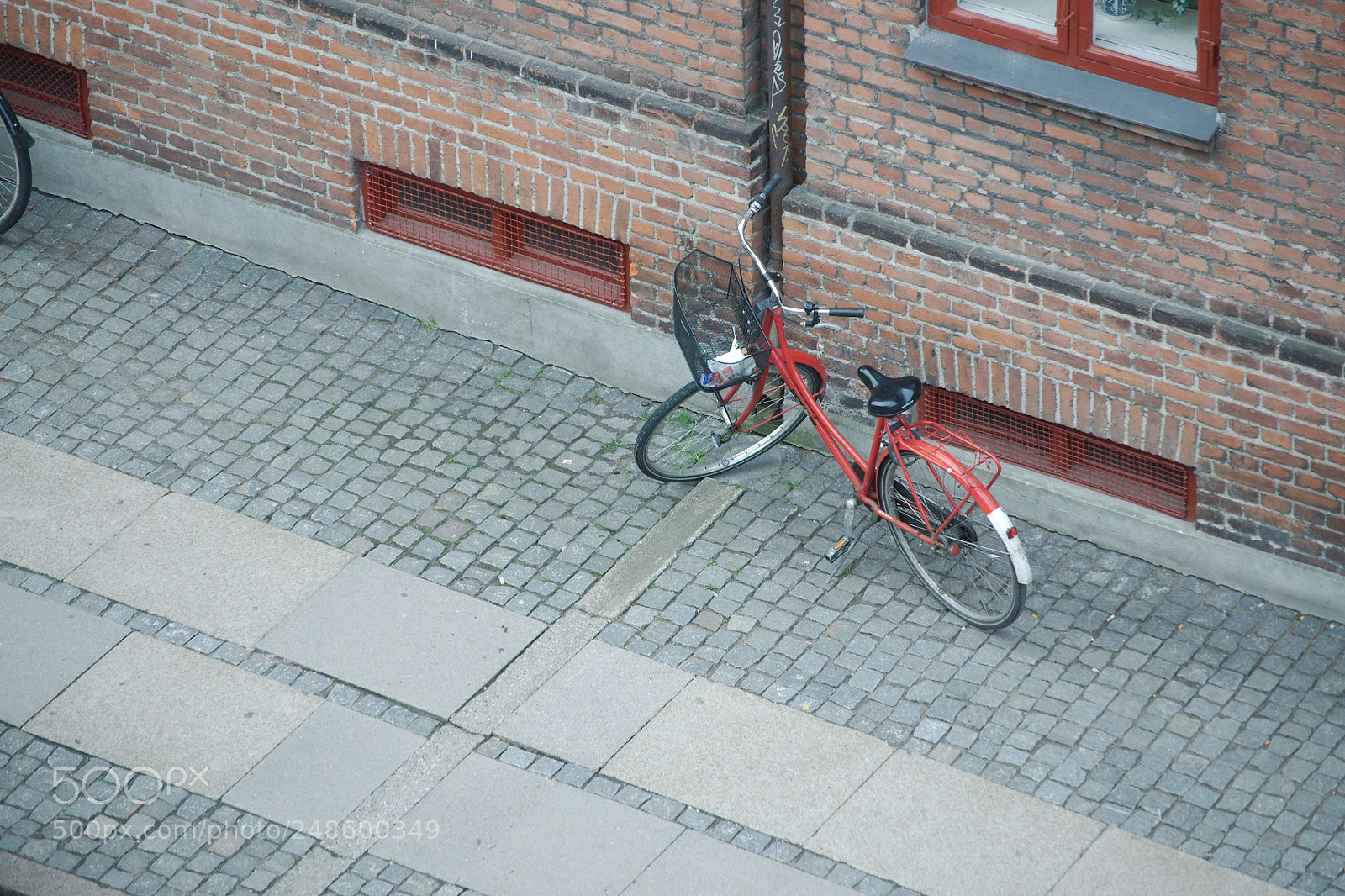 Nikon D90 sample photo. Bicycle on the road photography