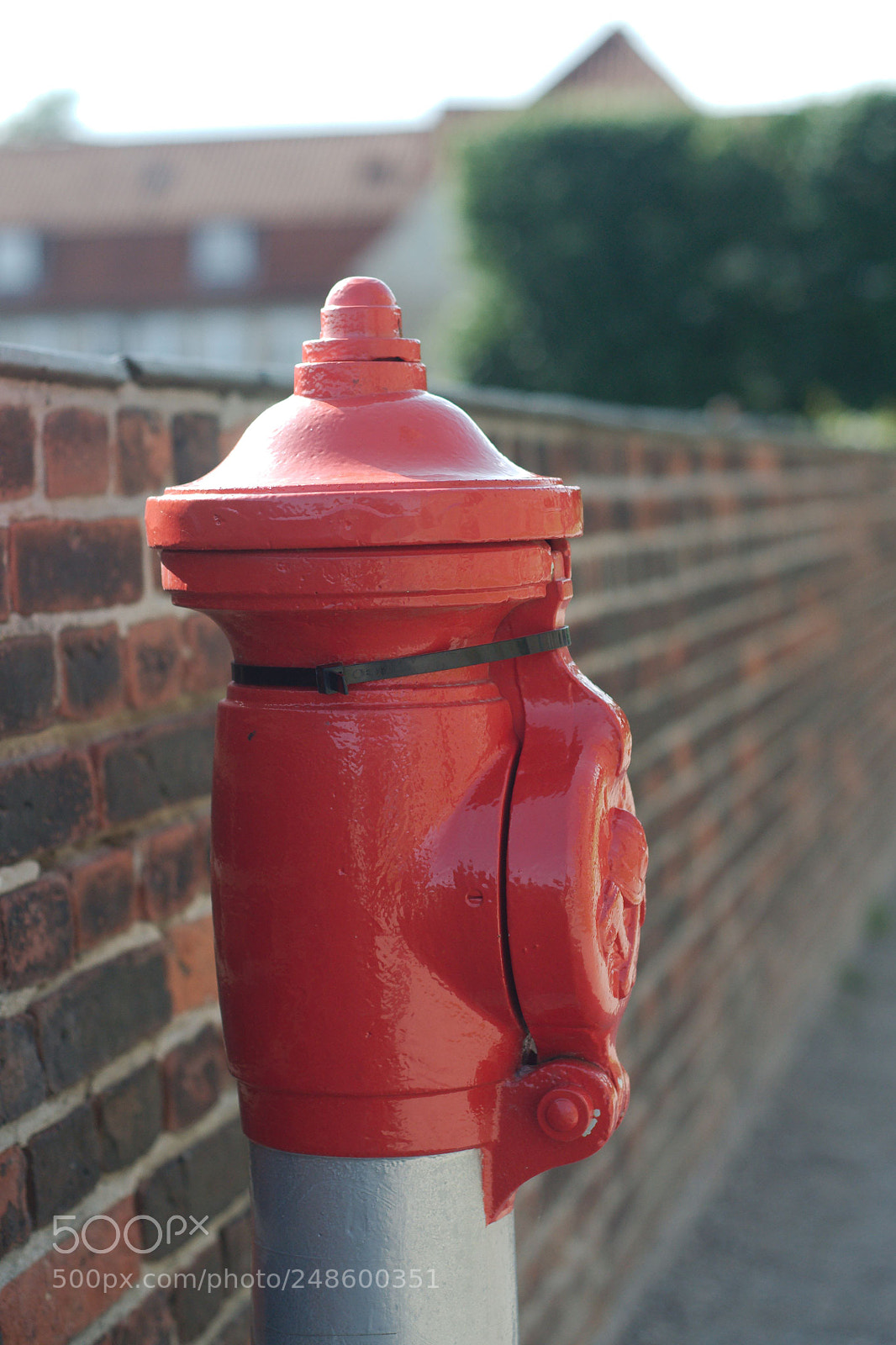Nikon D90 sample photo. Fire hydrant photography