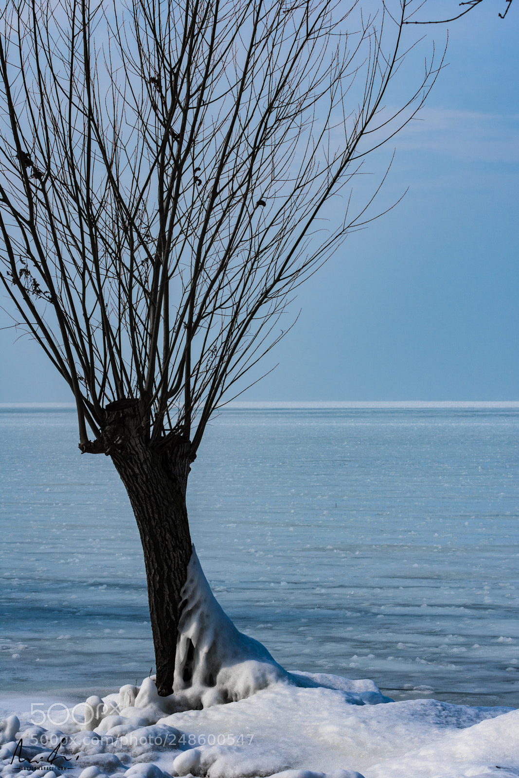 Nikon D7200 sample photo. Lonely tree photography