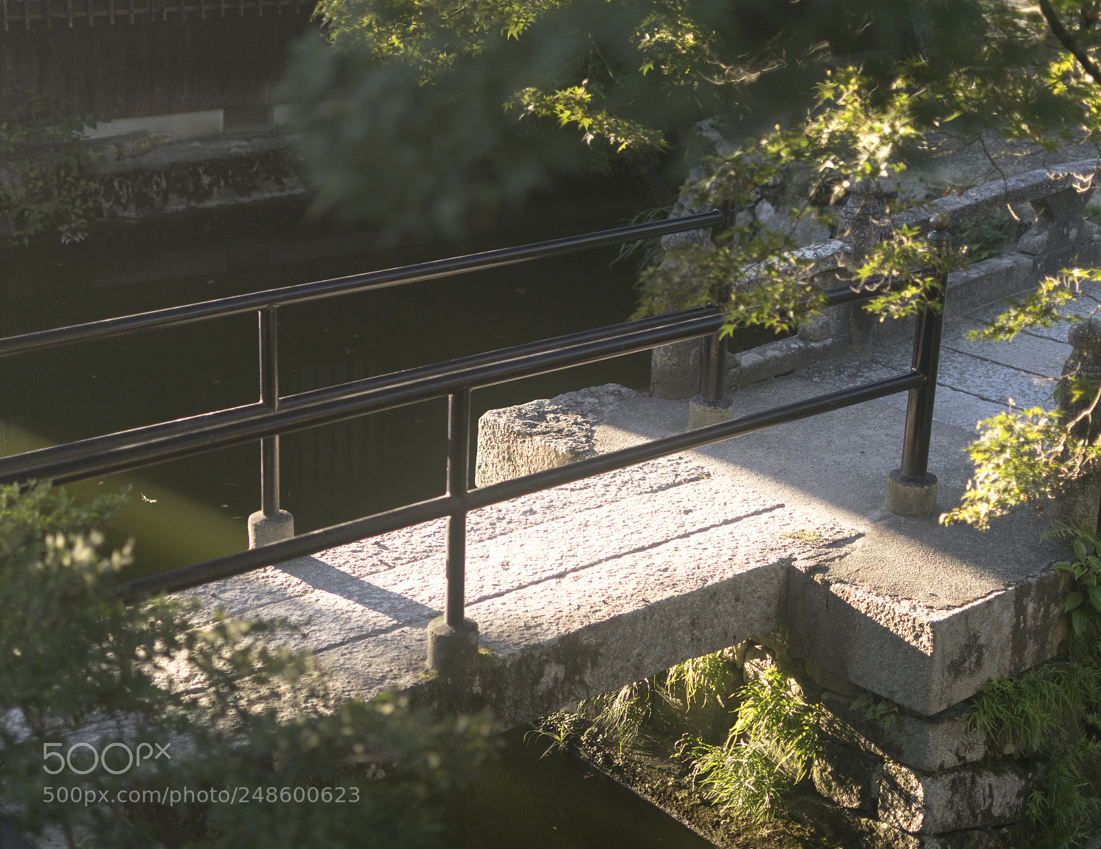 Nikon D5300 sample photo. Bridge photography