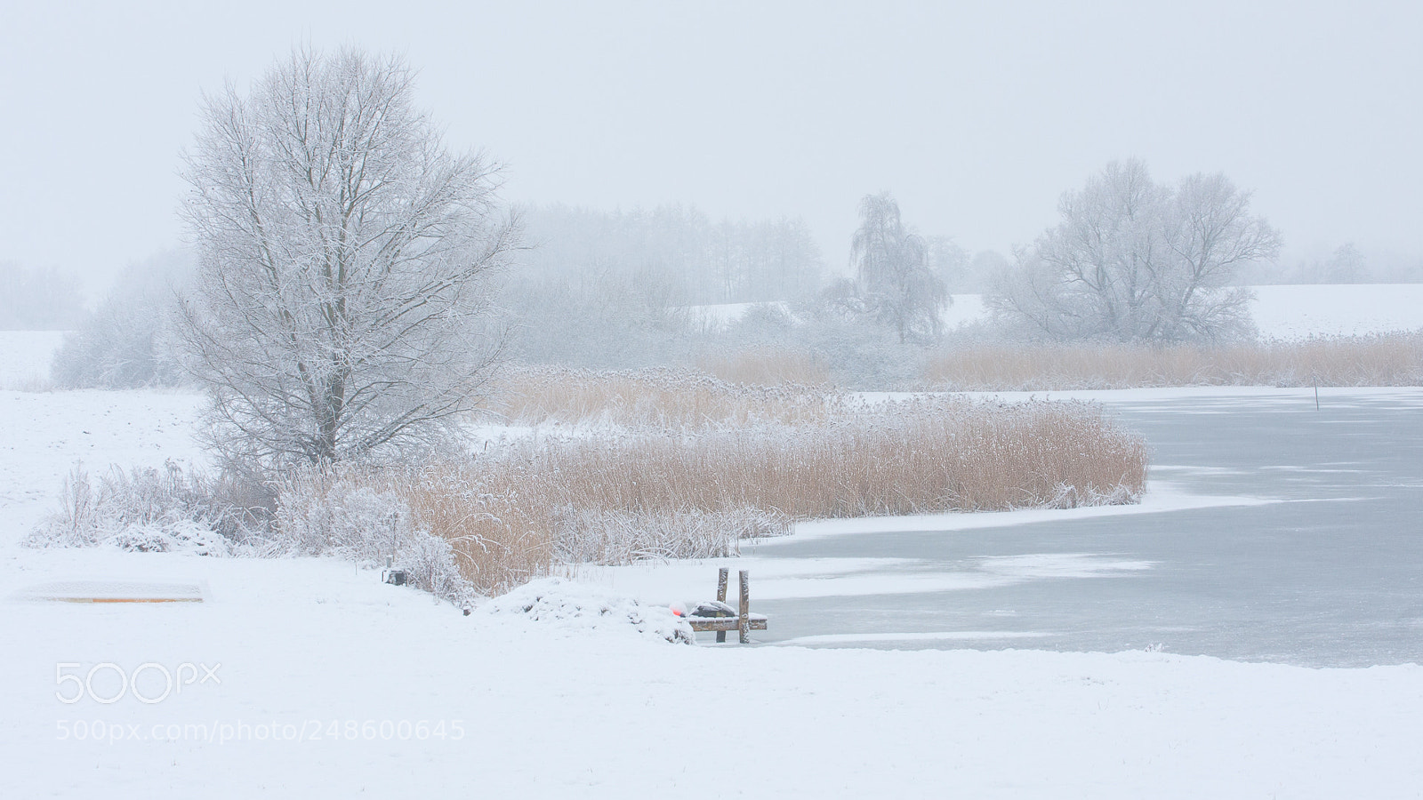 Canon EOS 40D sample photo. Frozen lake photography
