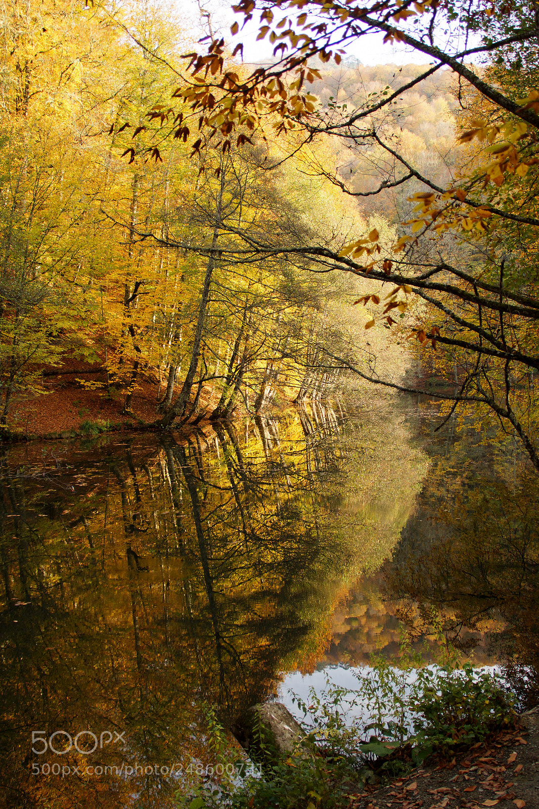 Sony Alpha NEX-7 sample photo. Yedigöller, bolu, turkey photography