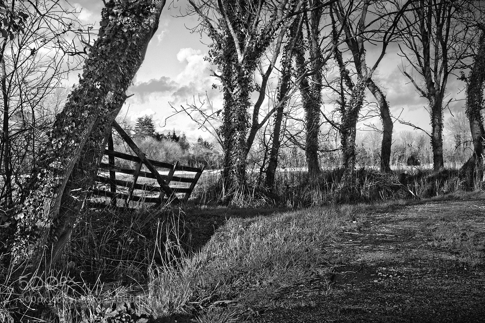 Canon EOS 80D sample photo. Carentan les marais photography
