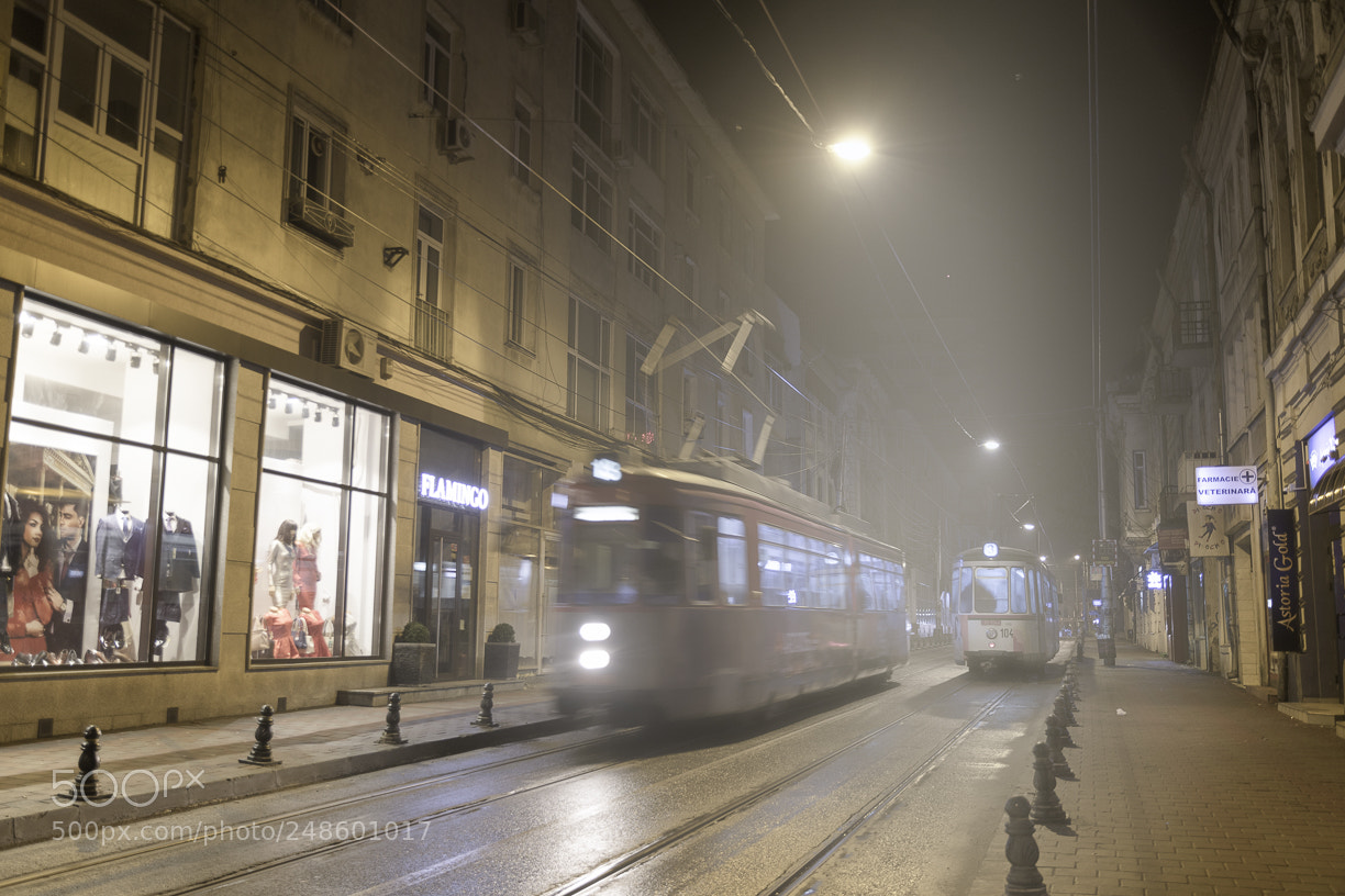 Nikon D500 sample photo. Meeting of trams photography