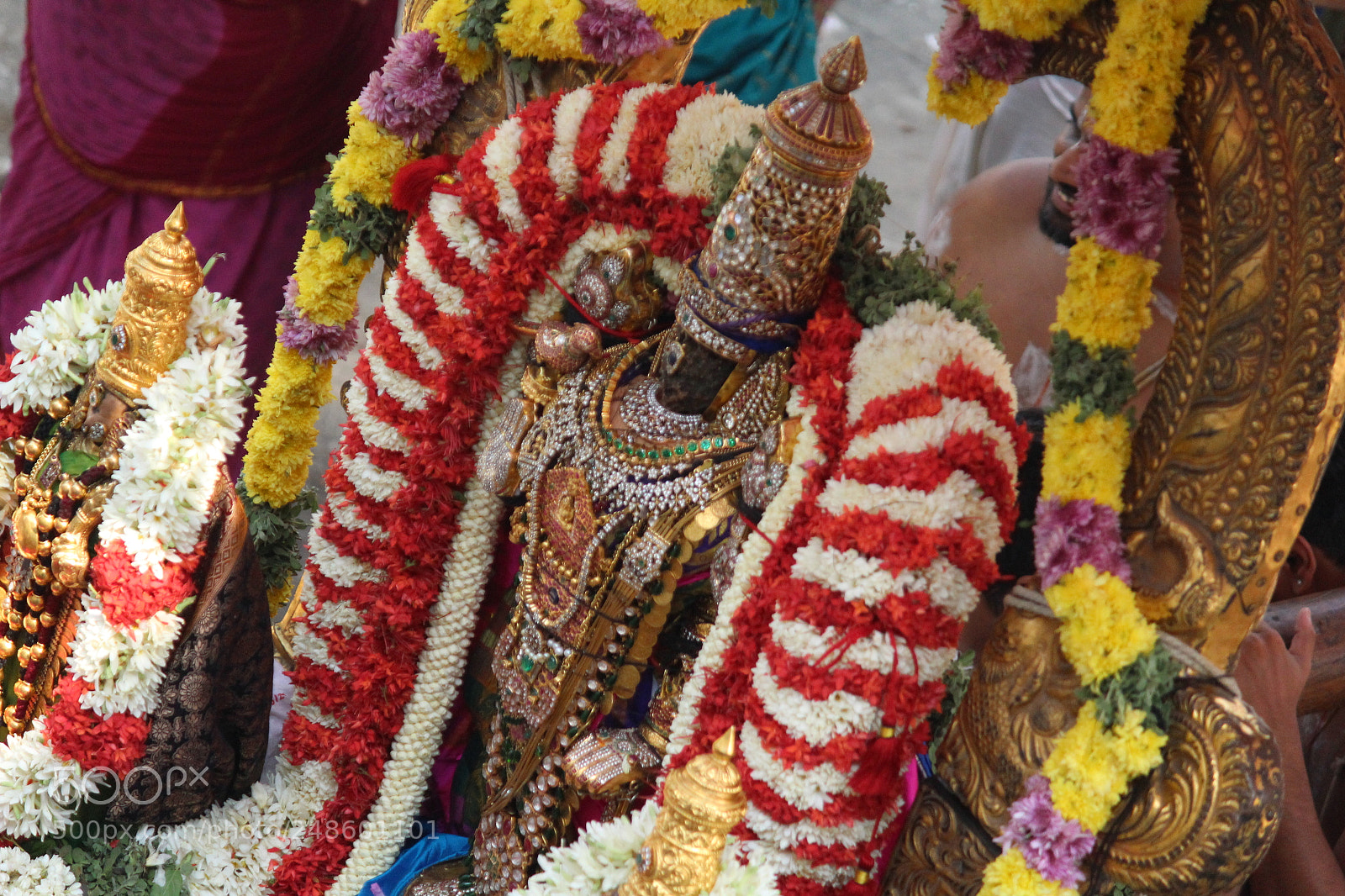 Canon EF-S 55-250mm F4-5.6 IS II sample photo. Parthasarathy by upendra photography