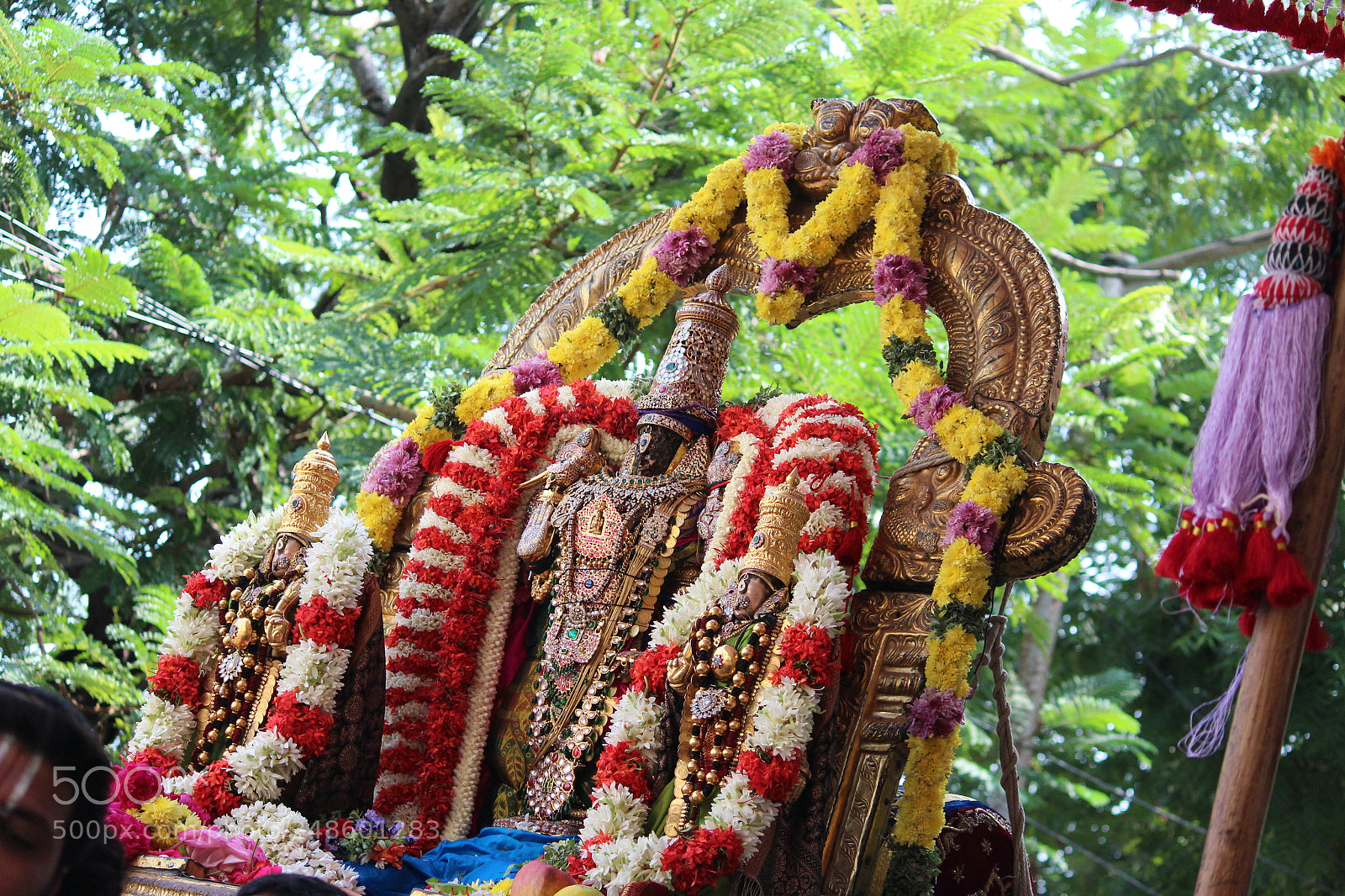 Canon EF-S 55-250mm F4-5.6 IS II sample photo. Parthasarathy by upendra photography