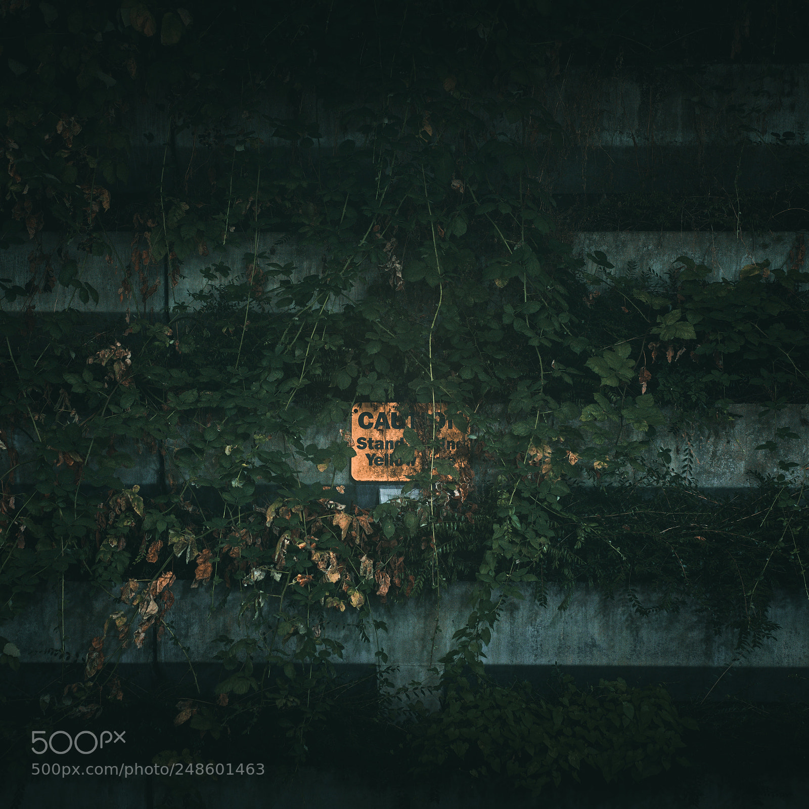 Sony a7R II sample photo. Sign in the plant photography