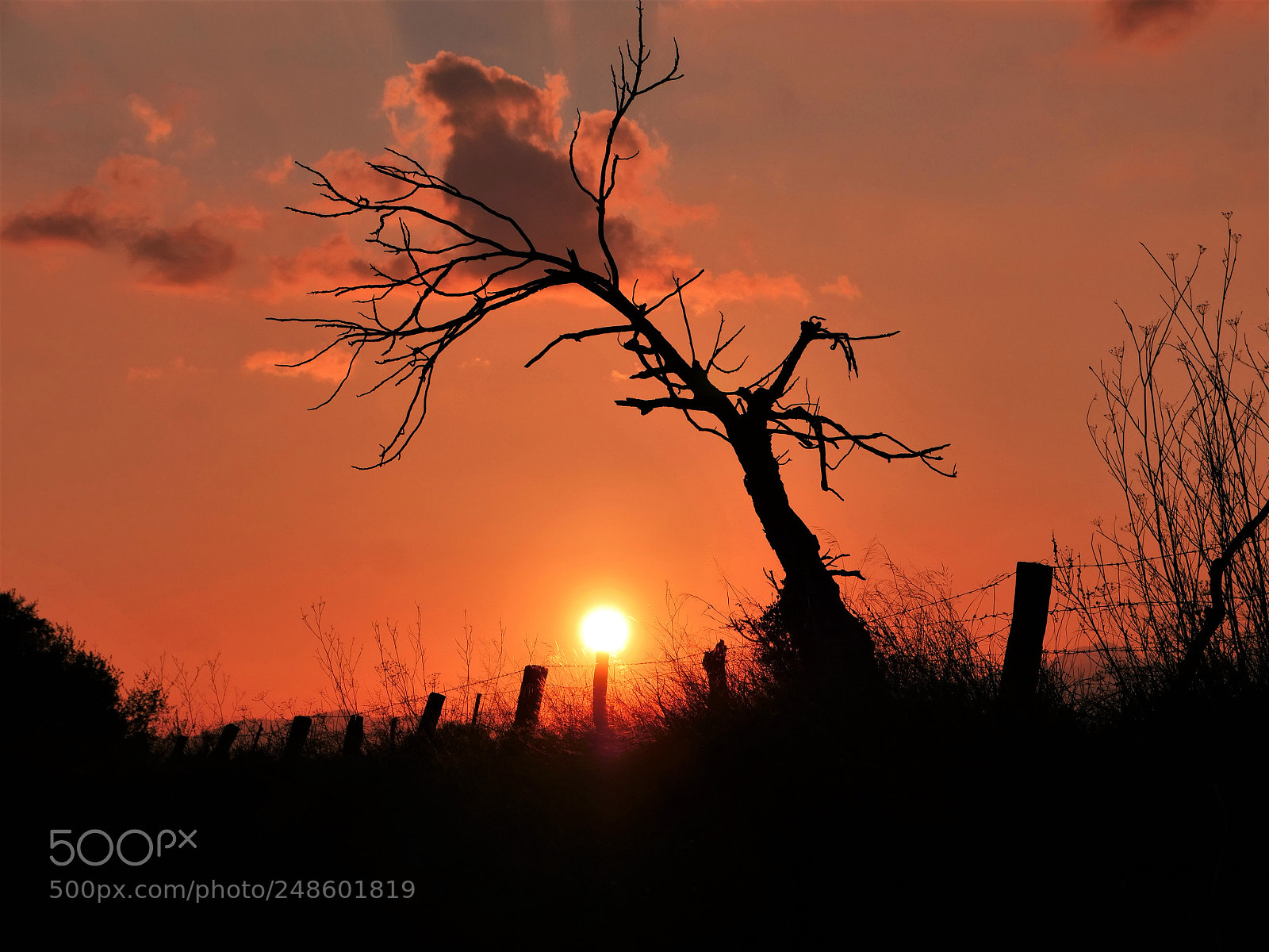 Panasonic Lumix DC-GH5 sample photo. Consell sunset 2 photography