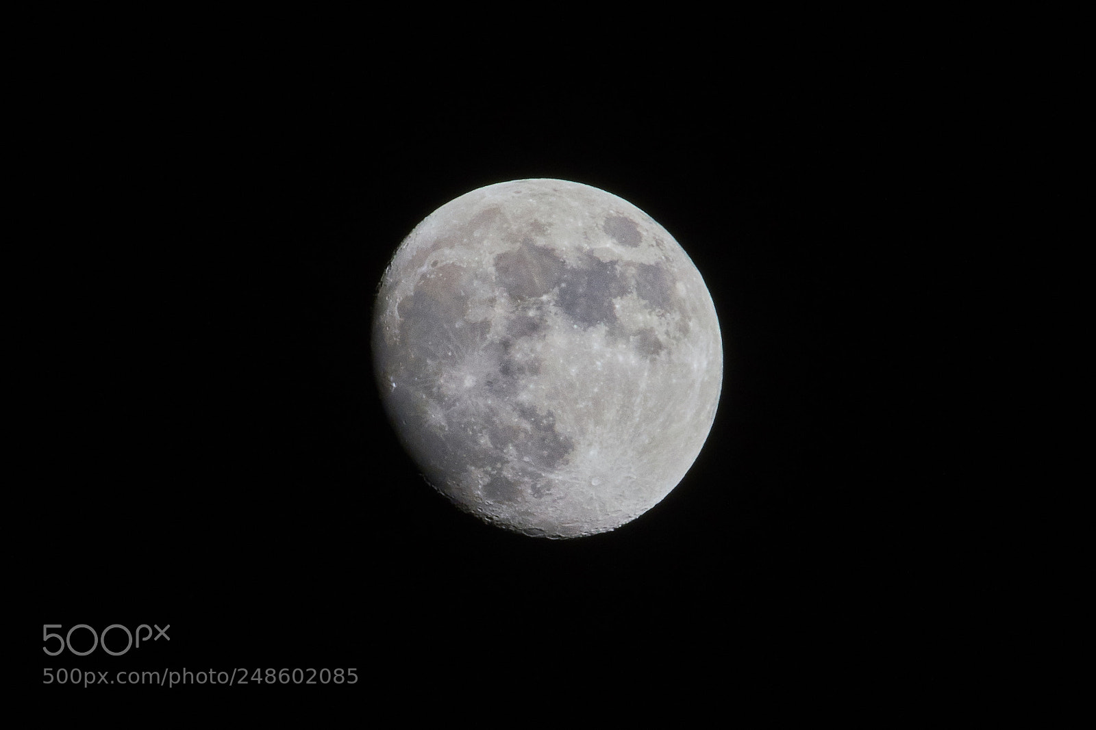 Nikon D500 sample photo. Luna photography