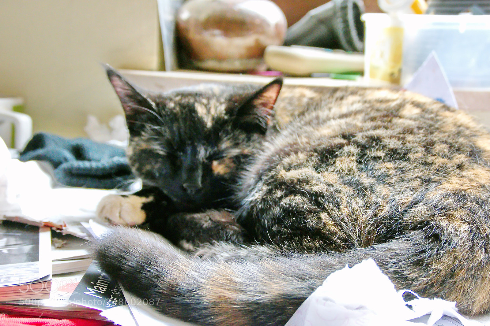 Panasonic Lumix DMC-FZ1000 sample photo. Cc () photography