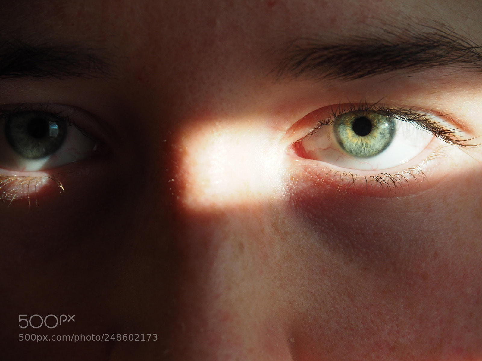 Olympus OM-D E-M10 II sample photo. Eye in light photography