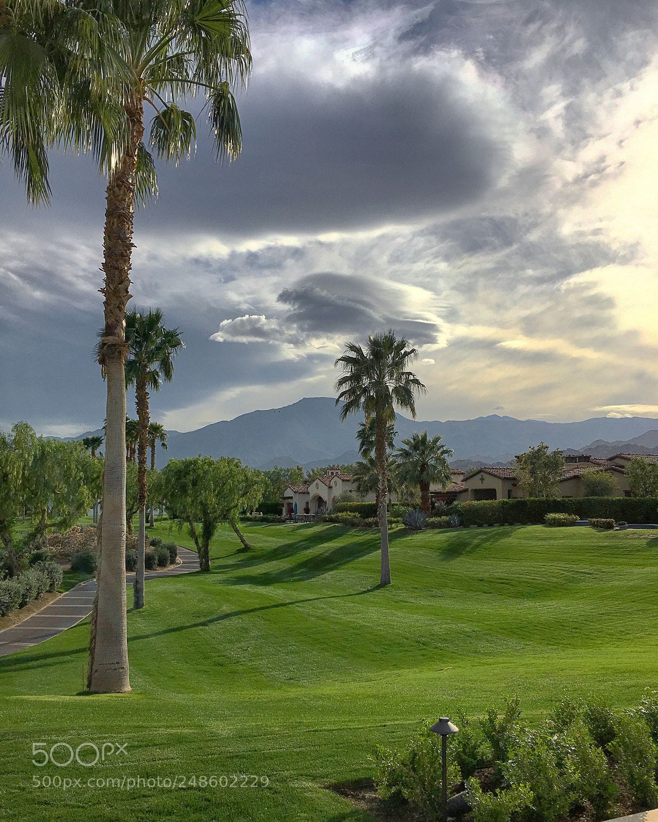 Apple iPhone 6s Plus sample photo. Palm desert, ca. photography
