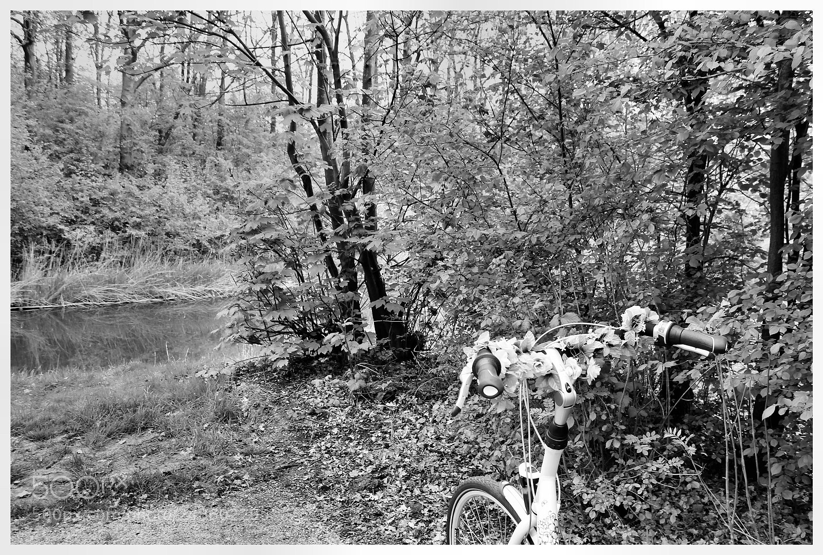 Canon EOS 1100D (EOS Rebel T3 / EOS Kiss X50) sample photo. Camping at lake veere photography