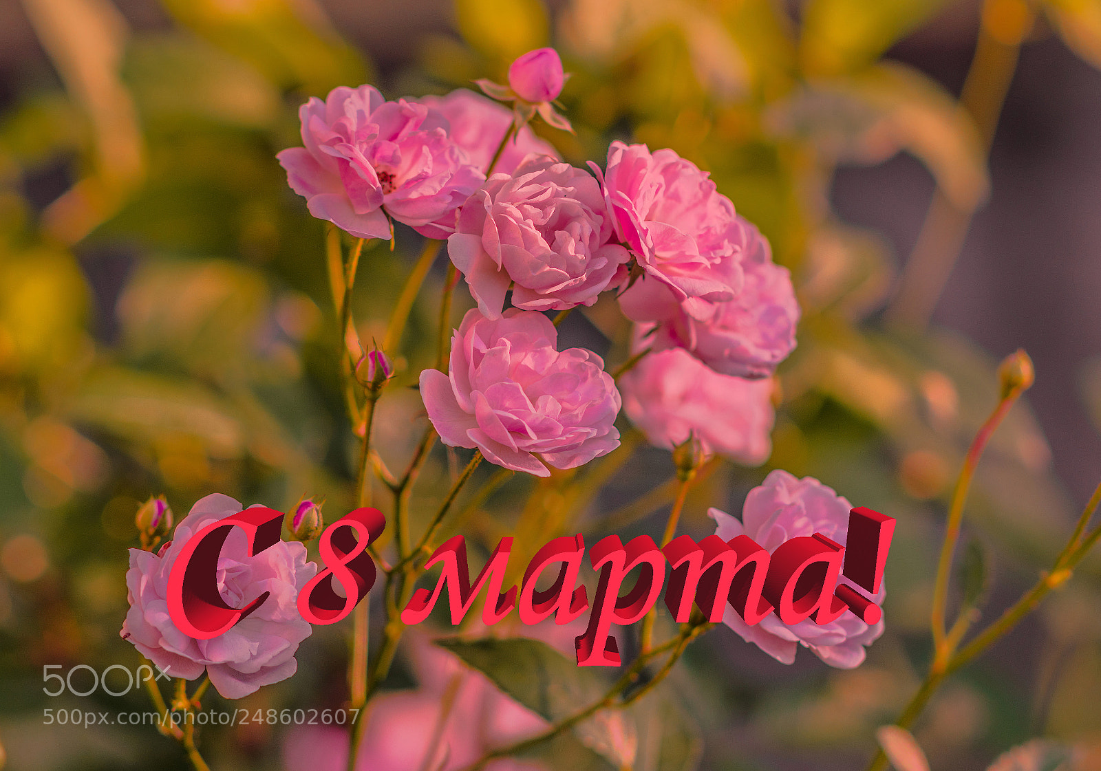 Sony a7R sample photo. Дорогие женщины, с праздником! photography