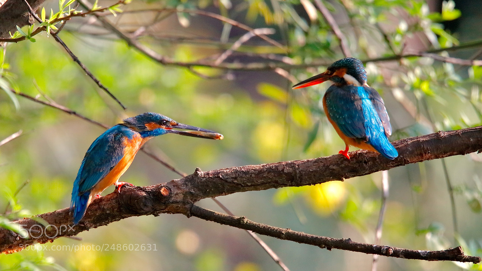 Canon EOS 5DS sample photo. Untitled photography