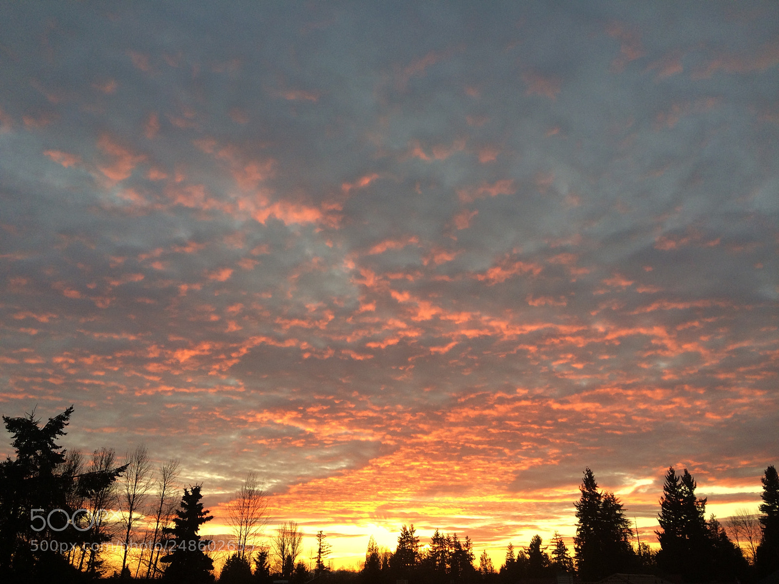 Apple iPhone 5s sample photo. Sunset dreams photography