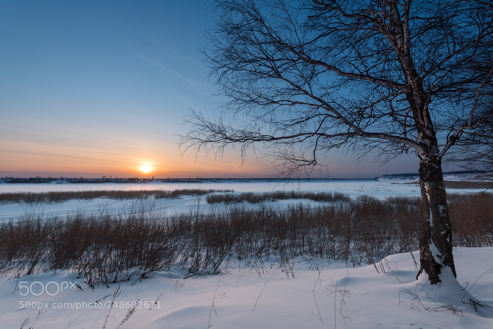 Nikon D810 sample photo. Frost and sun photography