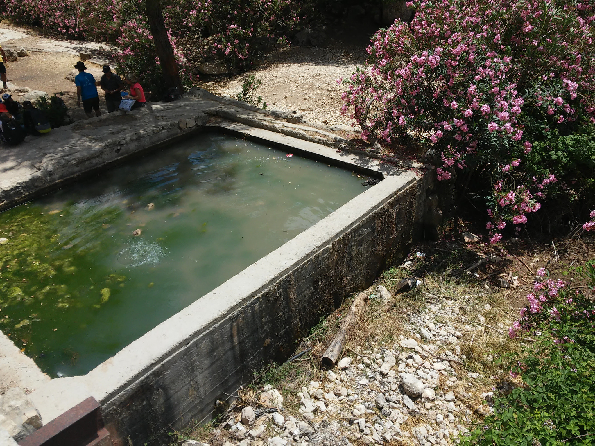 LG G2 MINI sample photo