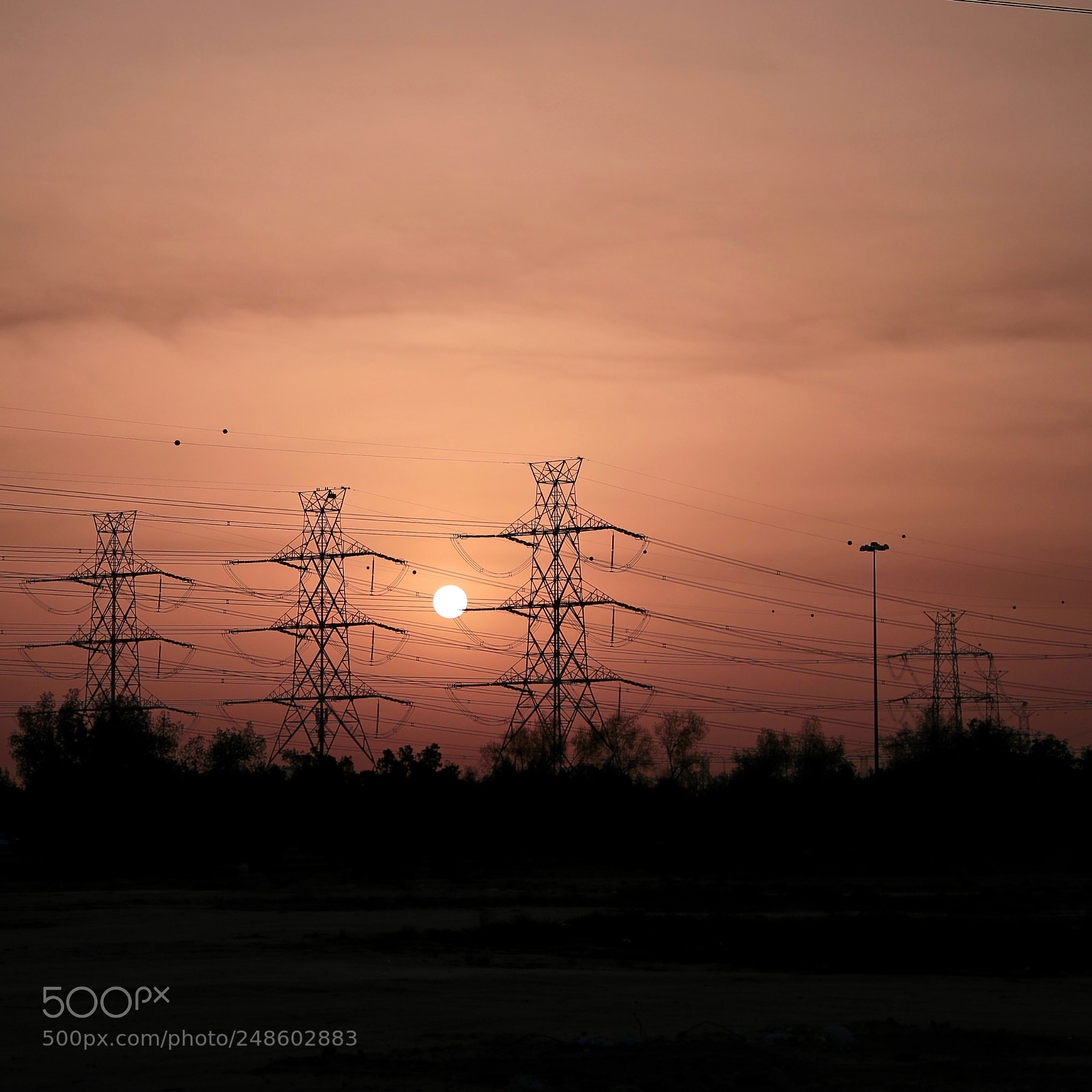 Canon EOS-1D X Mark II sample photo. Untitled photography